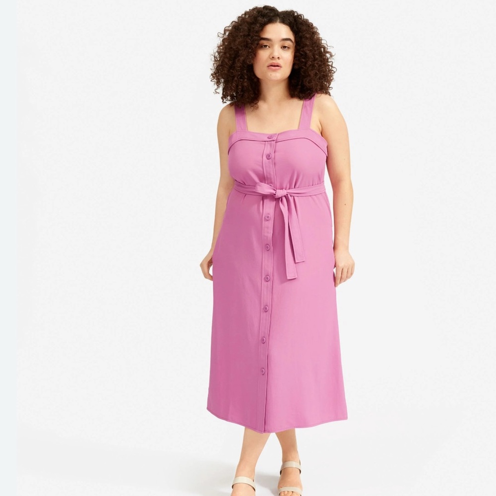 NWT Everlane The Japanese GoWeave Picnic Dress In Magenta Women’s Size 12